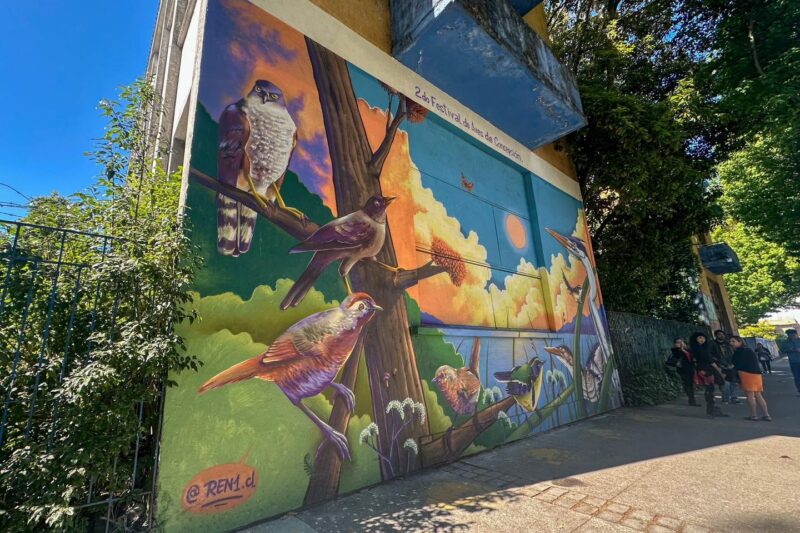 Mural del 2do Festival de las Aves en Concepción.