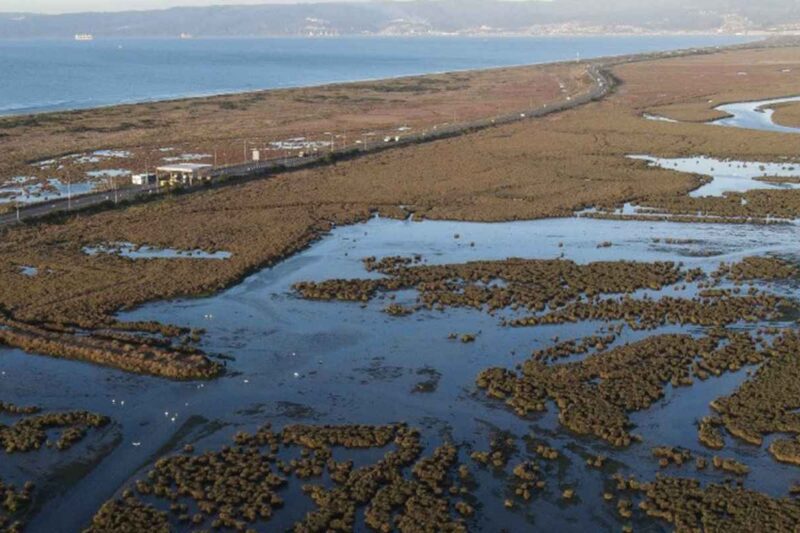 Vista aérea del Humedal Rocuant-Andalién, Talcahuano.